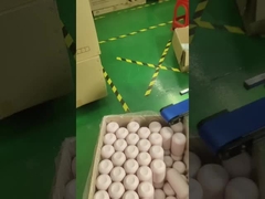 schermdruk- en zakmachine